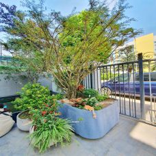 Mẫu Chậu composite sợi thủy tinh tại biệt thự Mộc Lan - Vinhomes Greenbay
