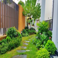 Sân Vườn - The New House 