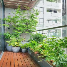 Tổng hợp tất cả những mấu ban công đẹp nhà Farmcity