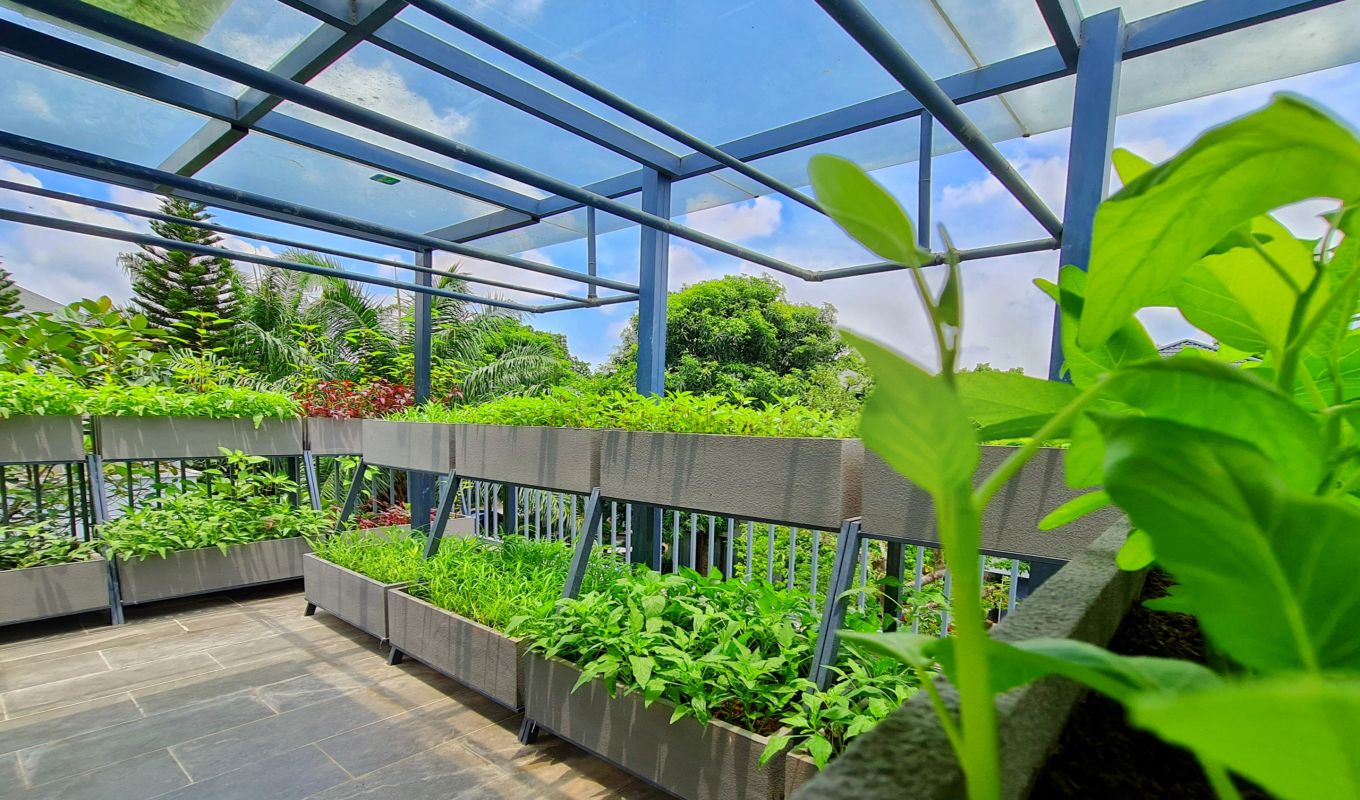 Giàn rau 2 tầng sân thượng