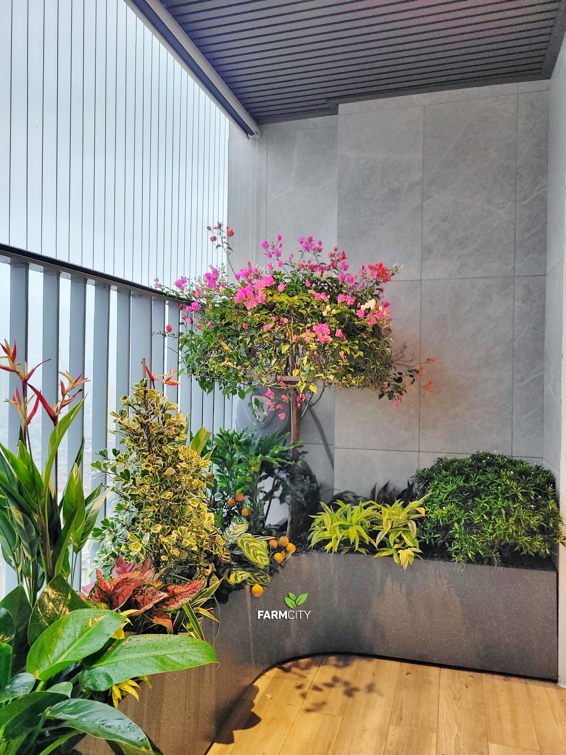 z5082966842046_4cfe89225a94745c9ca0fdaa50d7ad25-1