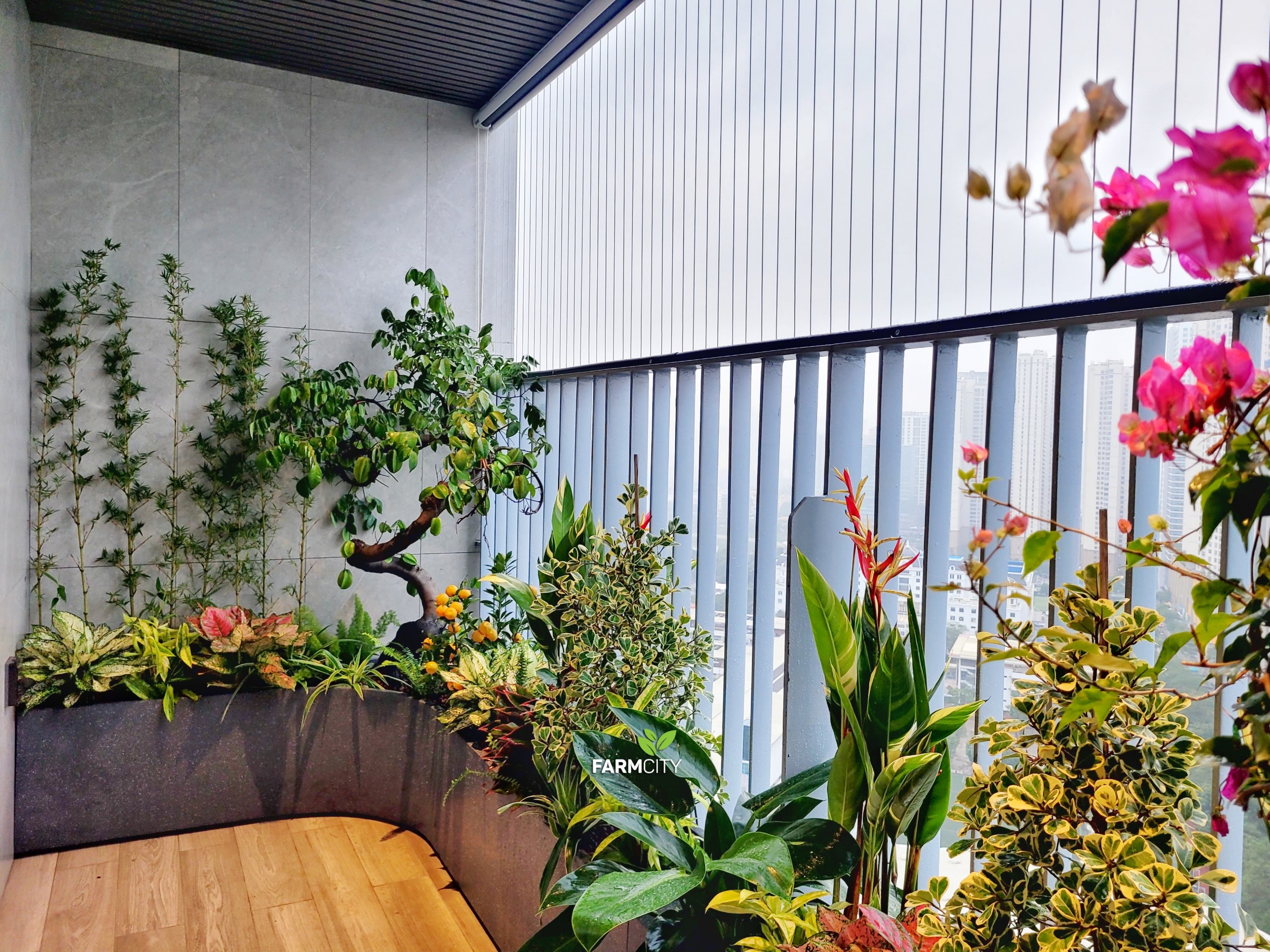 z5082966843000_03e8f05b942808caea38fa9629535d81-1