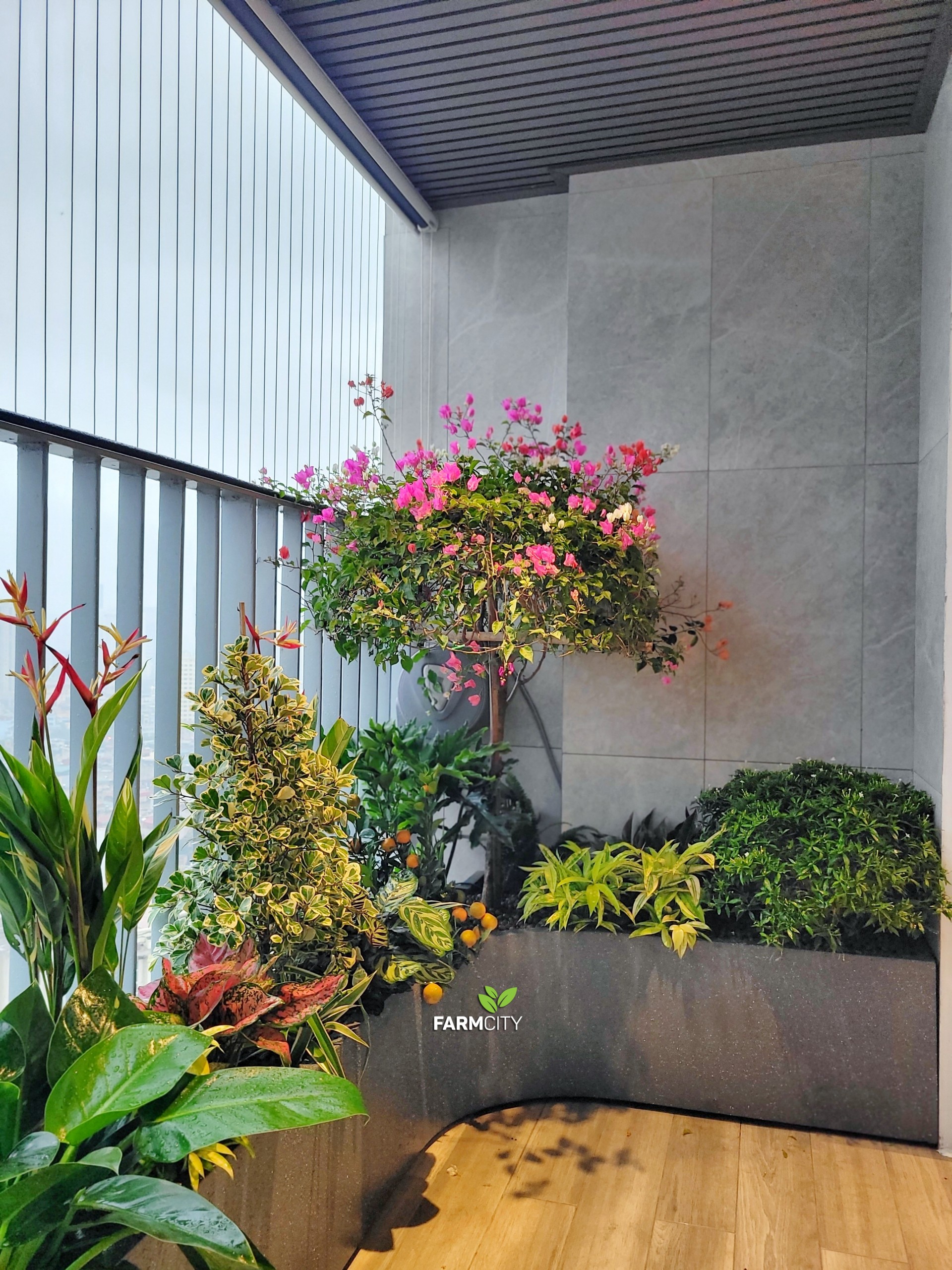 z5082966879375_767636b35689df25f3761b9b6c518283-1