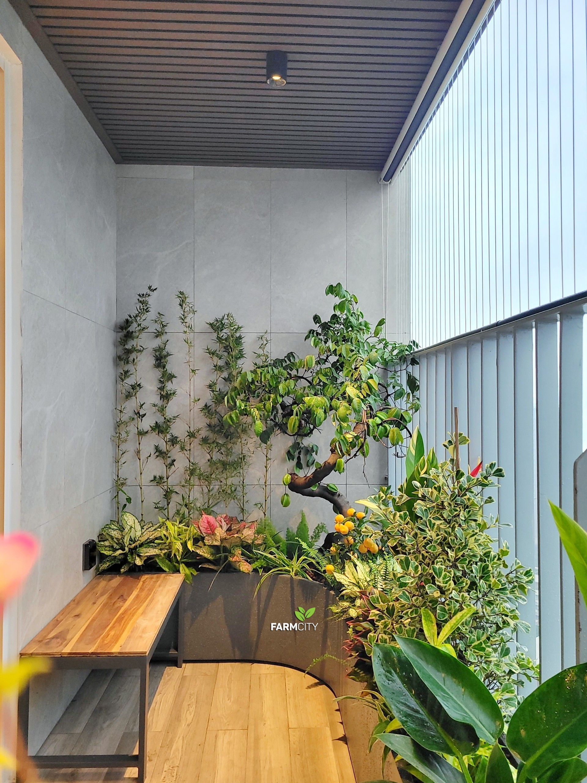 z5082966892929_b853944fdb08752eafed0c5b001a929a-1