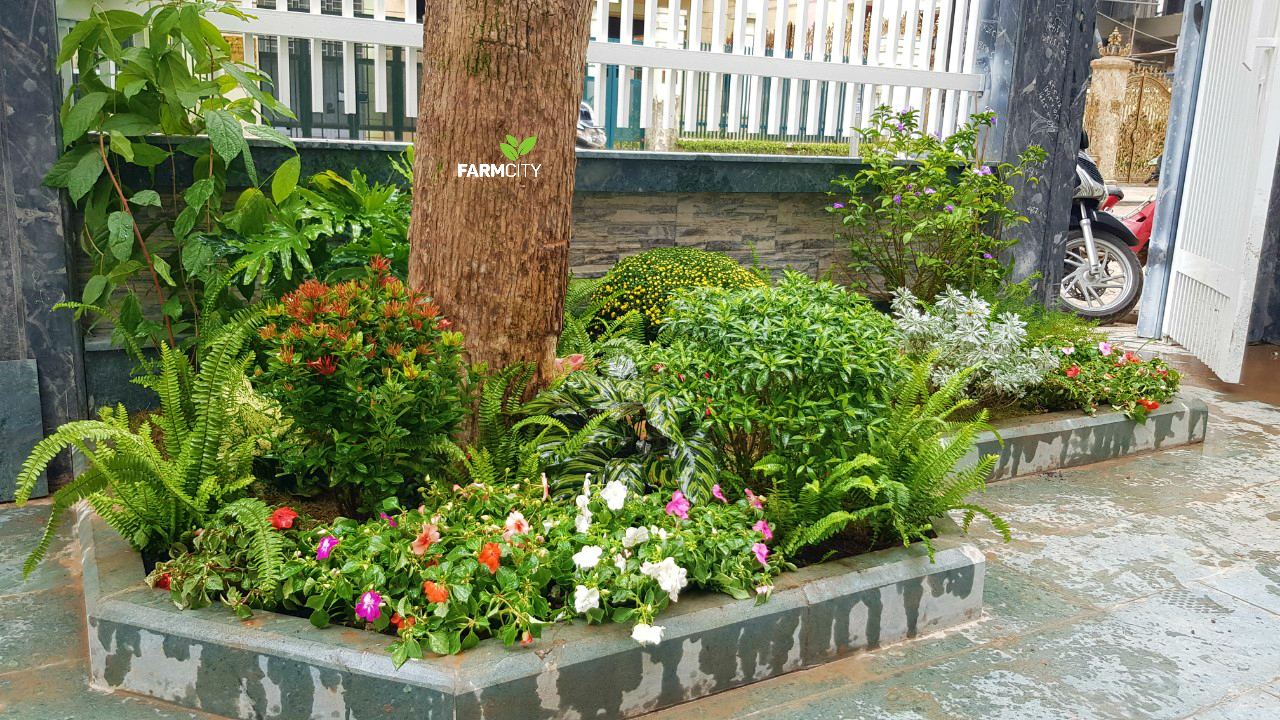 trang-tri-san-vuon-duong-noi