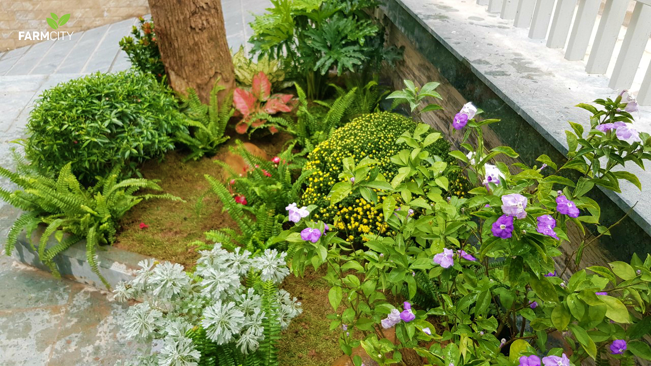 trang-tri-san-vuon-duong-noi