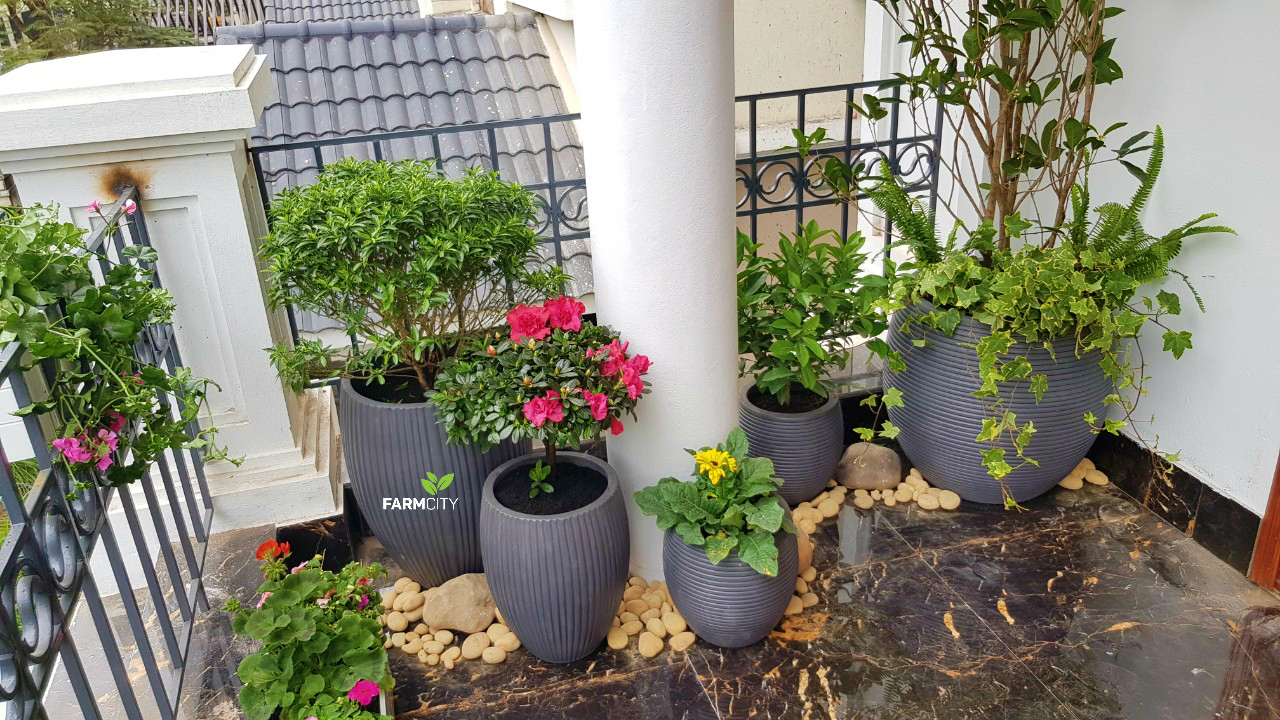 trang-tri-ban-cong-duong-noi