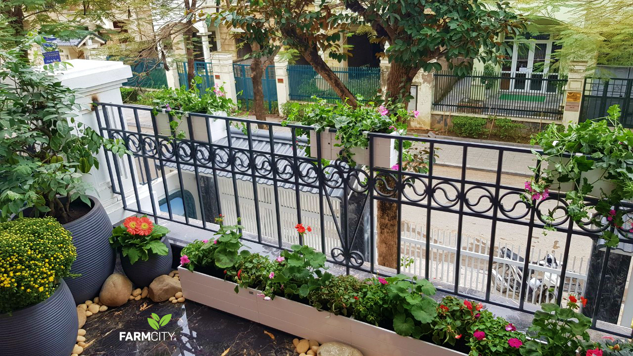 trang-tri-ban-cong-duong-noi