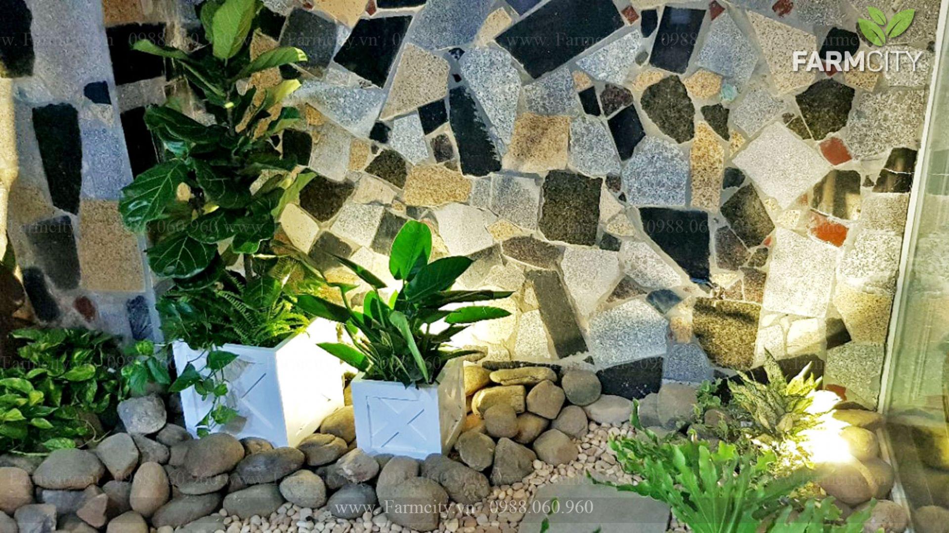 Chậu composite gỗ nhựa