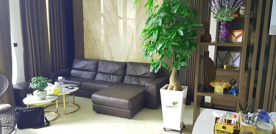 chậu composite Farmcity